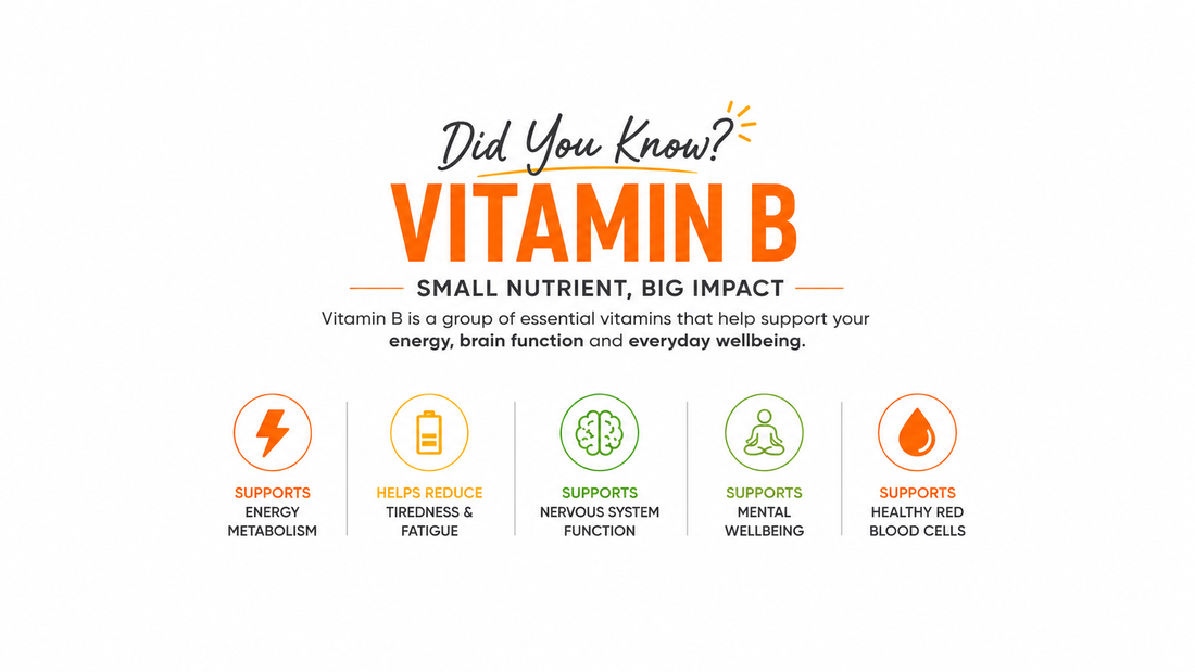 Why Vitamin B Is Important for Your Health
